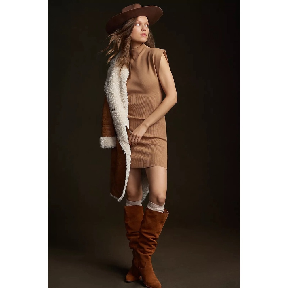NWT By Anthropologie Mock-Neck Mini Dress Cedar Women’s Size Small